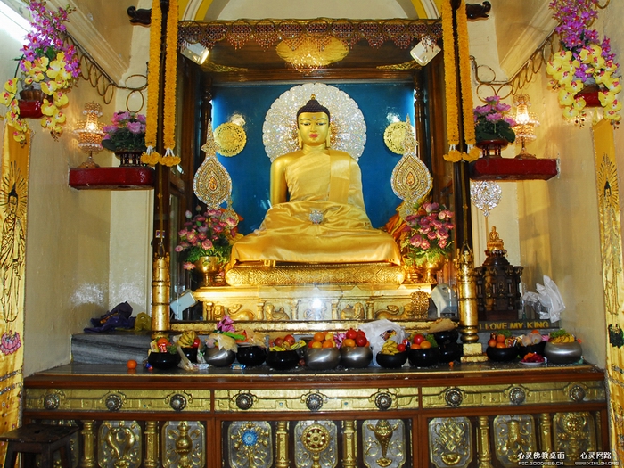 印度菩提迦耶大菩提寺─釋迦牟尼佛聖像11.JPG