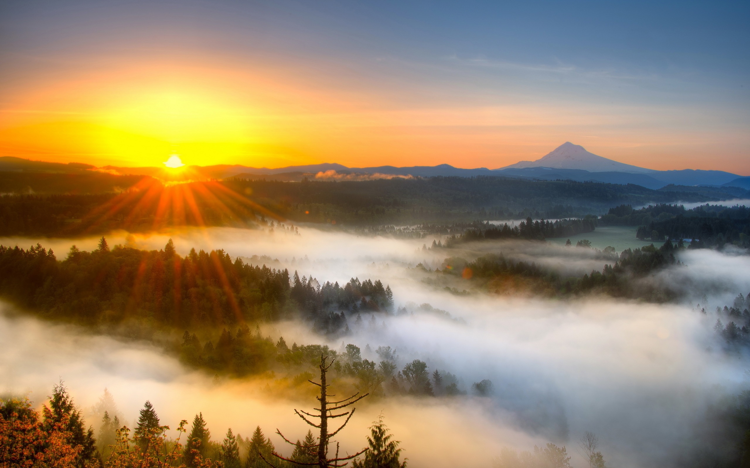 Morning-mist-mountain-sunrise_2560x1600.jpg