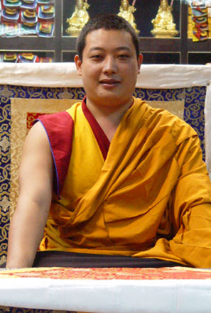 Tulku_Ogyen_Rinpoche.jpg