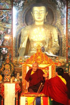 Yangthang Rinpoche 開示語錄(中英雙語)