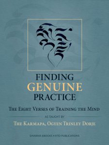 朗日堂巴大師《修心八頌》的英文開示, 《Finding Genuine Practice》一書，做為法王送給弟子們的禮物。