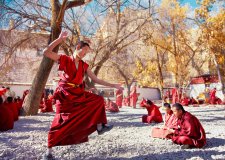 藏傳佛教寺院教育的發展歷史及其特質