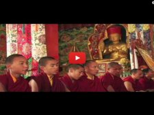 Asanga Sakya Rinpoche轉世的故事: Young Lama & Future Tibetan Spiritual Leader, As